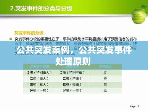 公共突发案例,公共突发事件处理原则