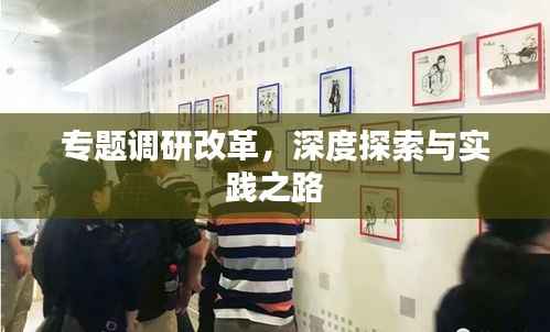 专题调研改革,深度探索与实践之路