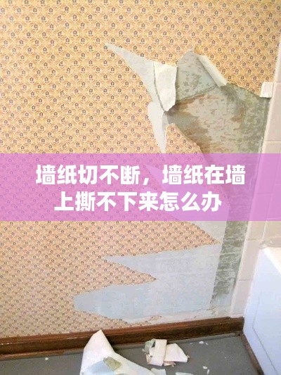 墙纸切不断,墙纸在墙上撕不下来怎么办