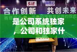 是公司系统独家,公司和独家什么意思