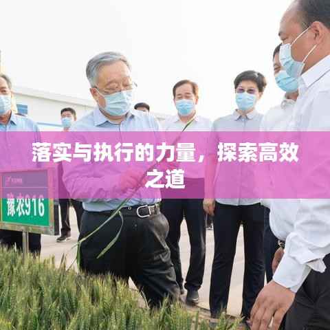 落实与执行的力量,探索高效之道