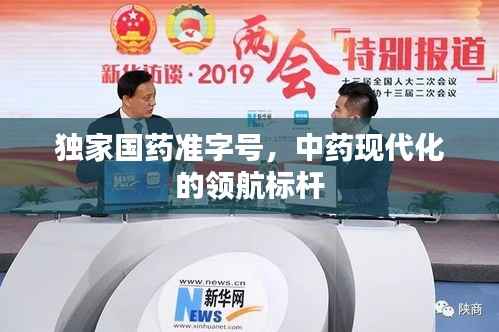 独家国药准字号,中药现代化的领航标杆
