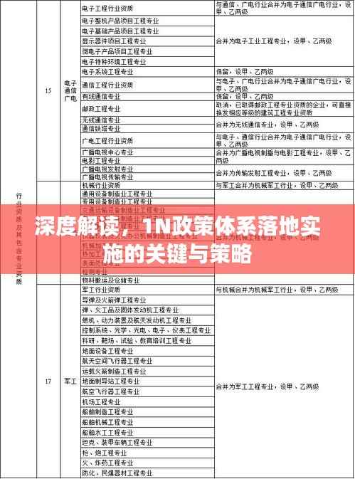 深度解读,1N政策体系落地实施的关键与策略