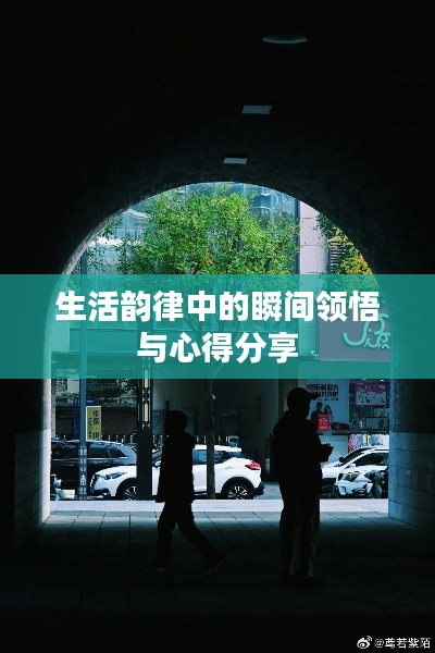 生活韵律中的瞬间领悟与心得分享