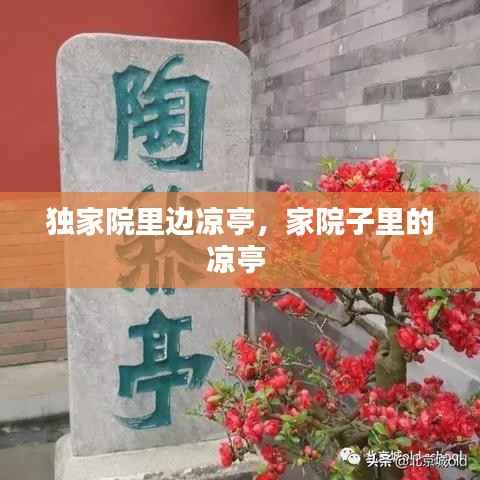 独家院里边凉亭,家院子里的凉亭