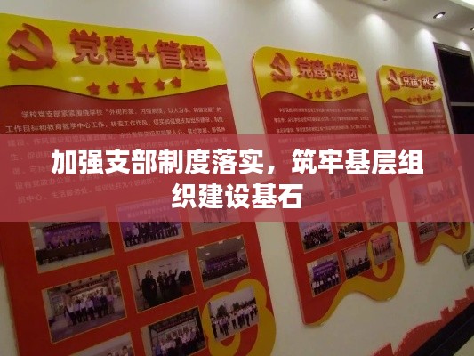加强支部制度落实,筑牢基层组织建设基石
