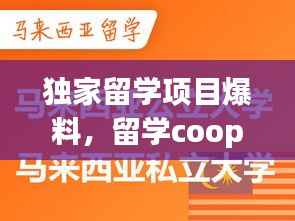 独家留学项目爆料,留学coop