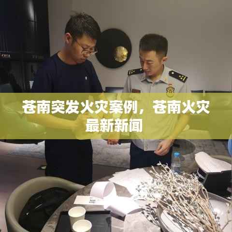 苍南突发火灾案例,苍南火灾最新新闻