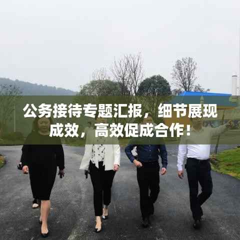 公务接待专题汇报,细节展现成效,高效促成合作!