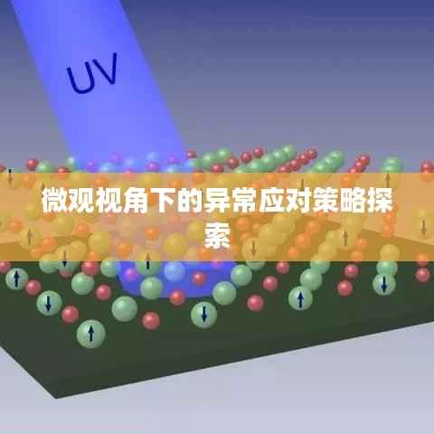 微观视角下的异常应对策略探索