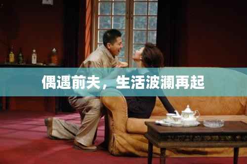 偶遇前夫,生活波澜再起