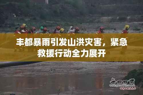 丰都暴雨引发山洪灾害,紧急救援行动全力展开