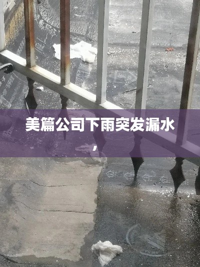 美篇公司下雨突发漏水,