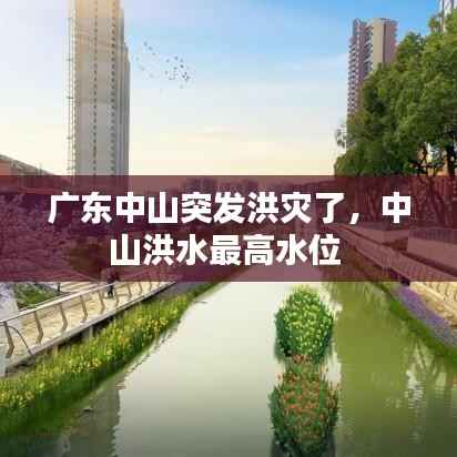 不知就里 第3页