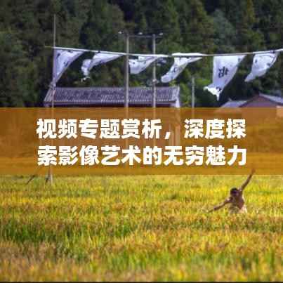 视频专题赏析,深度探索影像艺术的无穷魅力