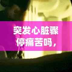 突发心脏骤停痛苦吗,心脏骤停瞬间痛苦么