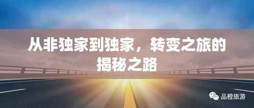 从非独家到独家,转变之旅的揭秘之路