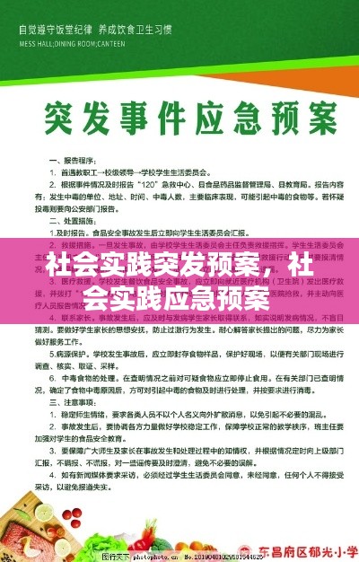社会实践突发预案,社会实践应急预案