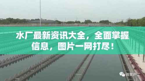 水厂最新资讯大全,全面掌握信息,图片一网打尽!