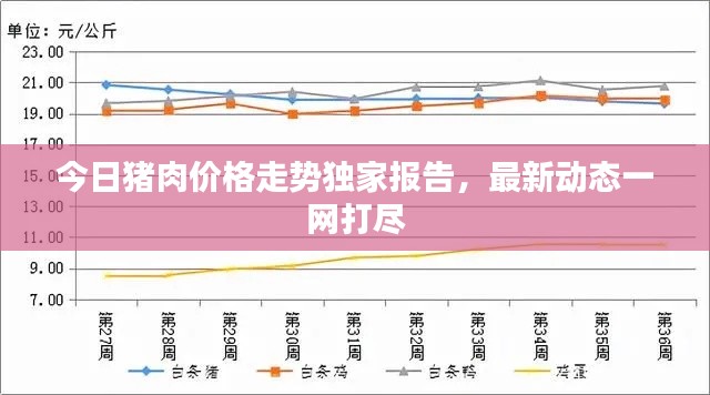 今日猪肉价格走势独家报告,最新动态一网打尽