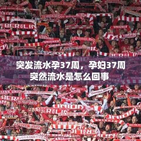 突发流水孕37周,孕妇37周突然流水是怎么回事