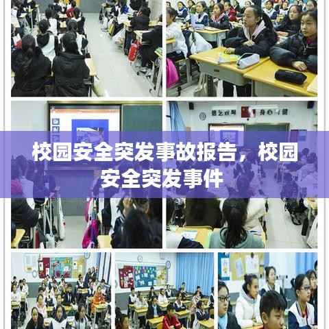 校园安全突发事故报告,校园安全突发事件