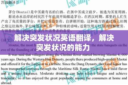 解决突发状况英语翻译,解决突发状况的能力