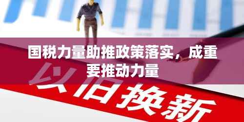 国税力量助推政策落实,成重要推动力量
