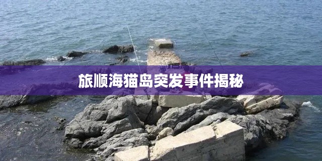 旅顺海猫岛突发事件揭秘