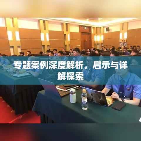 专题案例深度解析,启示与详解探索
