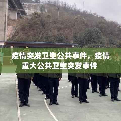 疫情突发卫生公共事件,疫情重大公共卫生突发事件