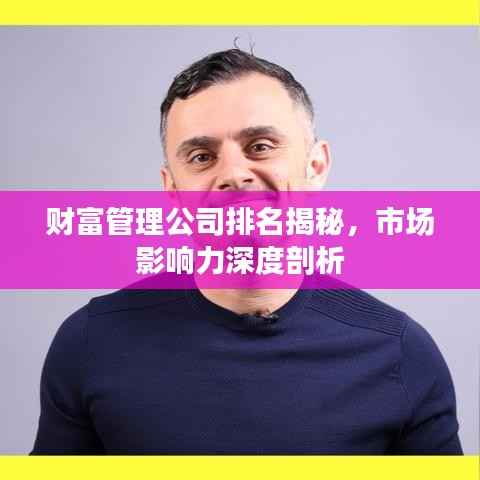 财富管理公司排名揭秘,市场影响力深度剖析