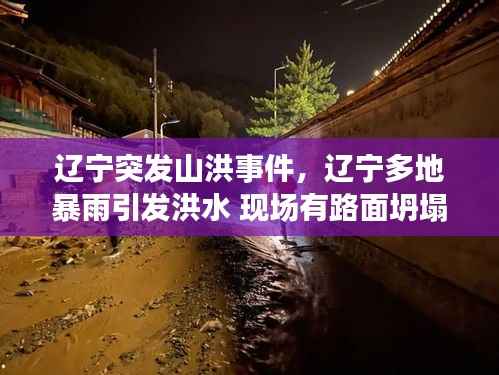 辽宁突发山洪事件,辽宁多地暴雨引发洪水 现场有路面坍塌