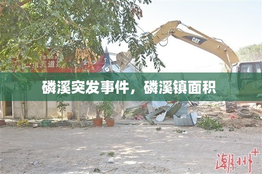 磷溪突发事件,磷溪镇面积