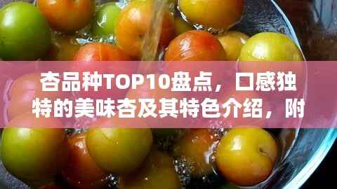 杏品种TOP10盘点,口感独特的美味杏及其特色介绍,附图片全解析