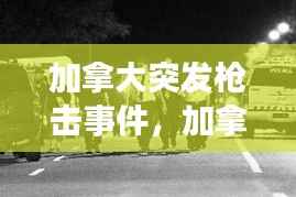 加拿大突发枪击事件,加拿大枪击事件多不多
