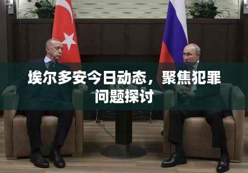 埃尔多安今日动态,聚焦犯罪问题探讨