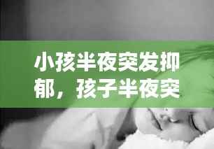 小孩半夜突发抑郁,孩子半夜突然嚎啕大哭