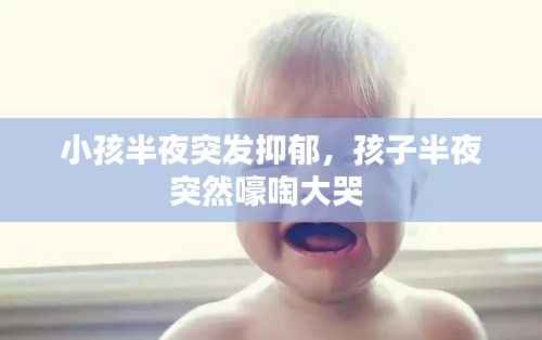 小孩半夜突发抑郁,孩子半夜突然嚎啕大哭