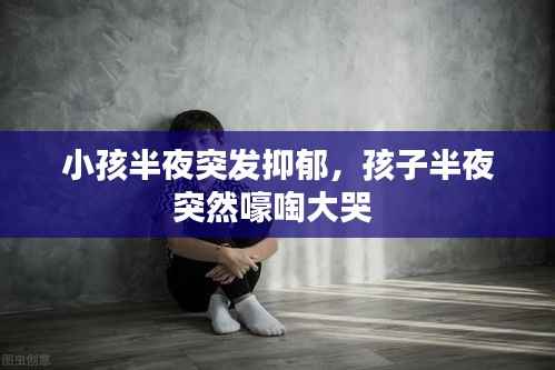 小孩半夜突发抑郁,孩子半夜突然嚎啕大哭