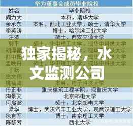 独家揭秘,水文监测公司排名大解密!