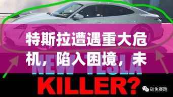 特斯拉遭遇重大危机,陷入困境,未来发展堪忧