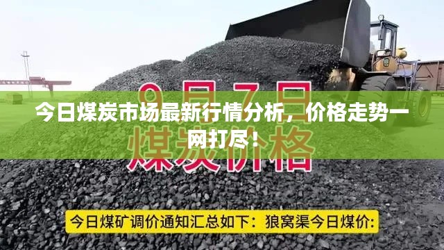 今日煤炭市场最新行情分析,价格走势一网打尽!