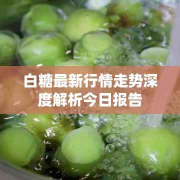 白糖最新行情走势深度解析今日报告