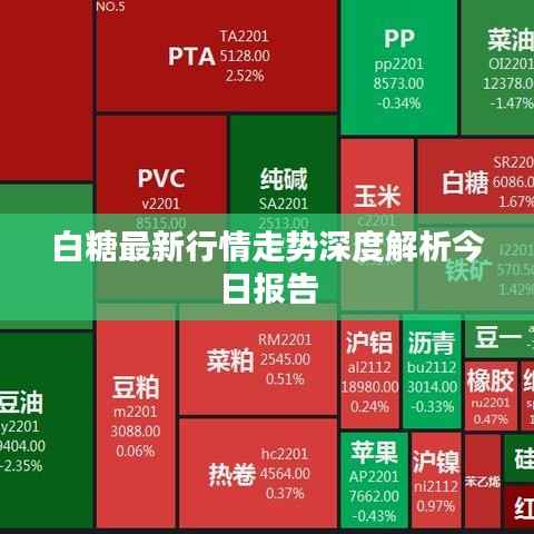 白糖最新行情走势深度解析今日报告