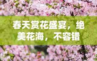 春天赏花盛宴,绝美花海,不容错过的视觉盛宴!