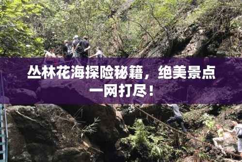 丛林花海探险秘籍,绝美景点一网打尽!