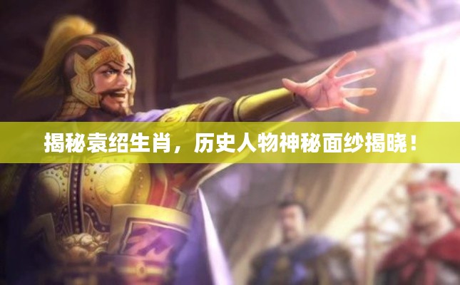 揭秘袁绍生肖,历史人物神秘面纱揭晓!