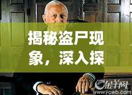 揭秘盗尸现象,深入探讨背后的真相与问题