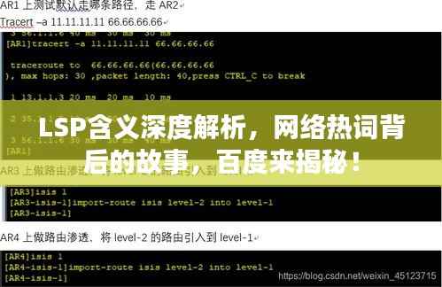 LSP含义深度解析,网络热词背后的故事,百度来揭秘!